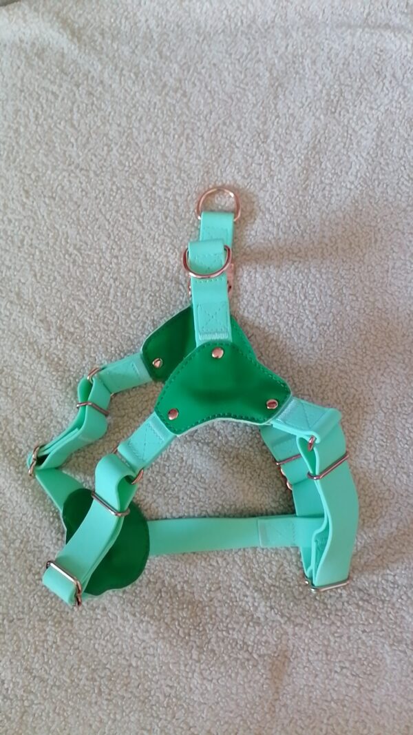 Durable Biothane Dog Harness – Vibrant, Waterproof & Easy to Clean